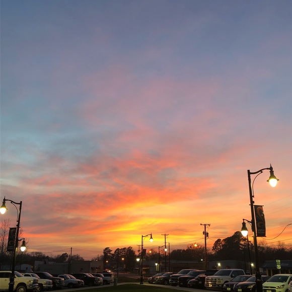 Meet your Posher, Tennie - Picture 1 of 1